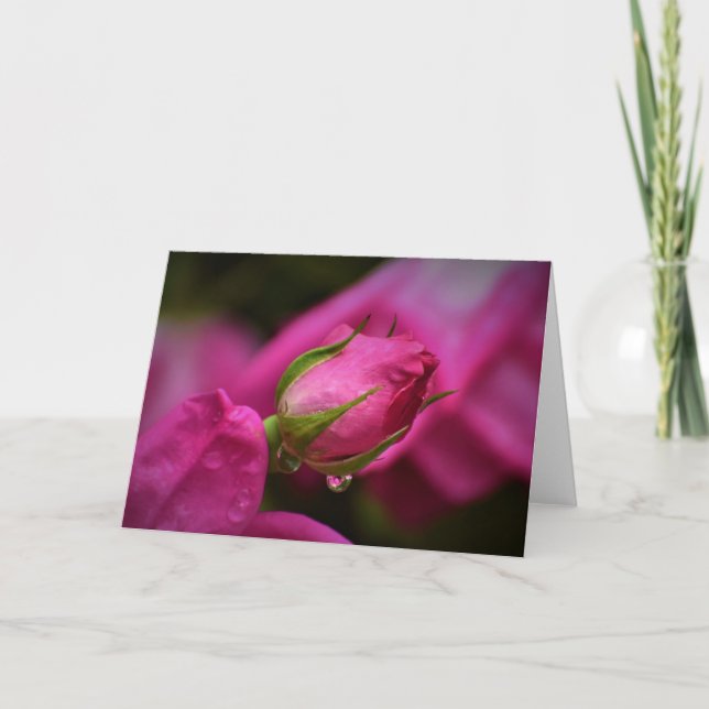 Rosas rojas y gotas de lluvia, tarjeta (Anverso)
