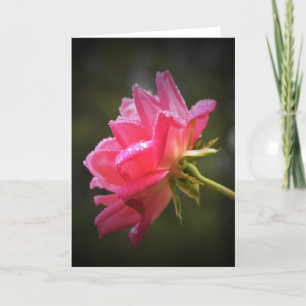 Rosas rojas y gotas de lluvia, tarjeta