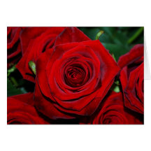 Rosas rojos