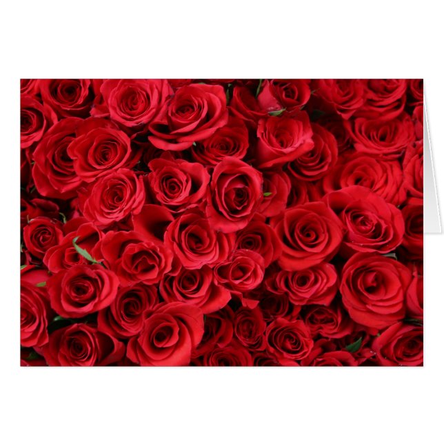 Rosas rojos (Anverso (Horizontal))