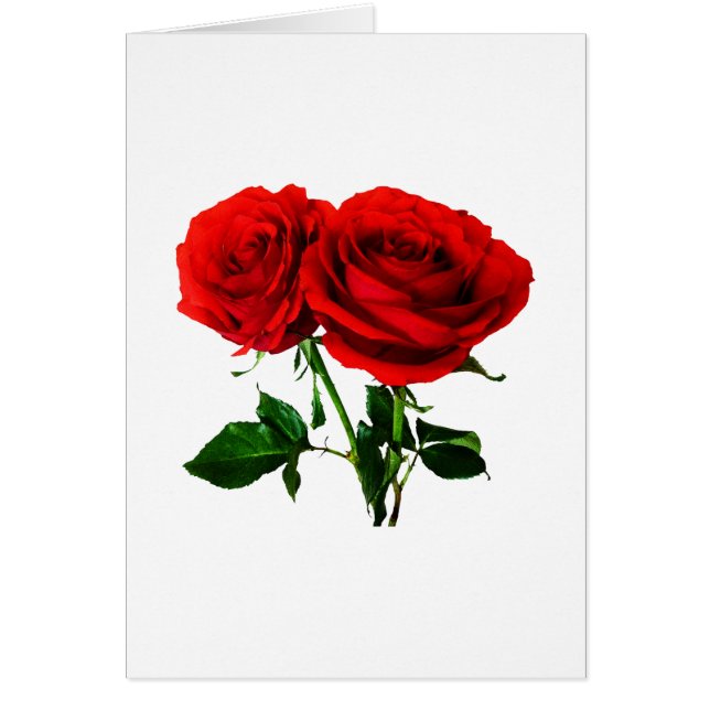 Rosas rojos gemelos (Frente)