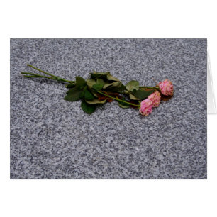 rosas rosadas secas