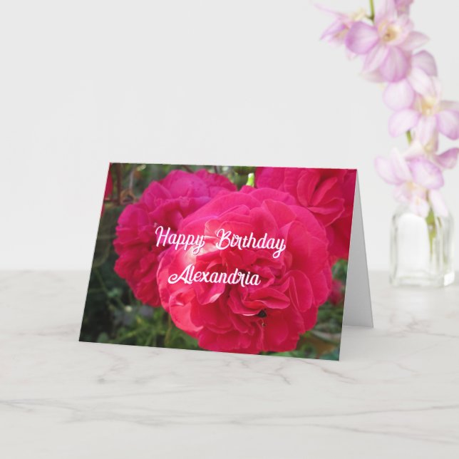 Rosas rosados calientes - Tarjeta de cumpleaños pe (Orquídea)