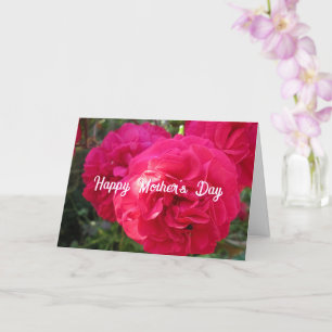 Rosas rosados calientes - Tarjeta personalizada de