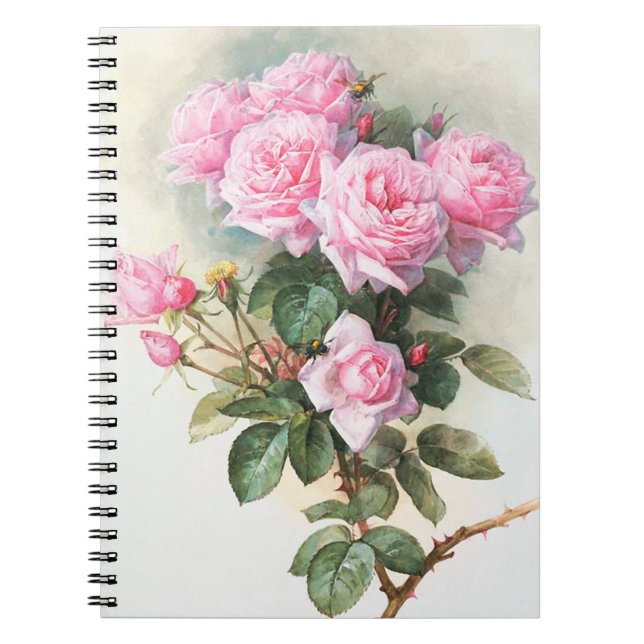 Rosas rosados del vintage que pintan el cuaderno (Frente)