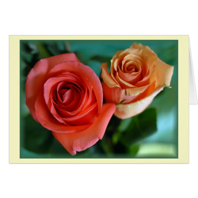 "Rosas rosas" (en blanco) (Anverso (Horizontal))