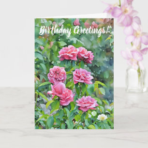 Rosas rosas rosadas Blooming Tarjeta de cumpleaños