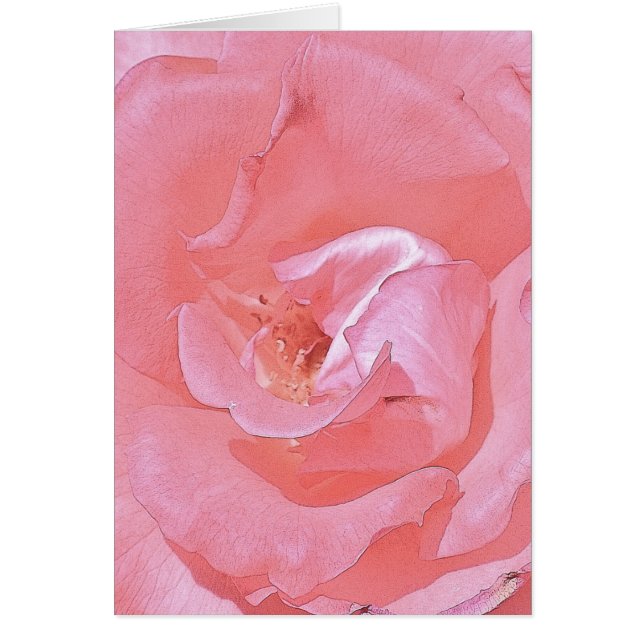 Rosas rosas rosas (Frente)