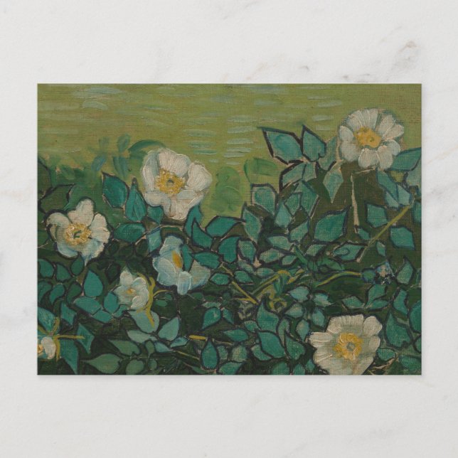Rosas salvajes de la postal Vincent Van Gogh (Anverso)