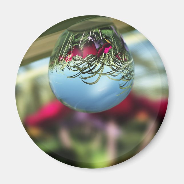 Rosas sobre el imán de las gotas de lluvia (Frente)