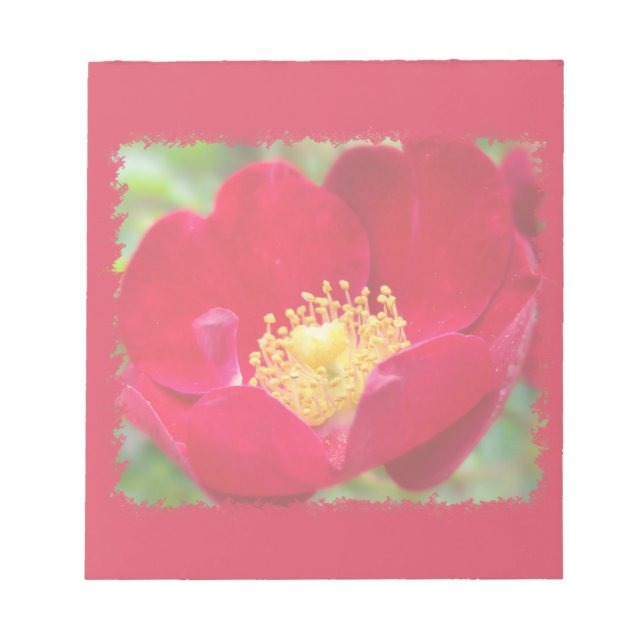 Rosas son el Bloc de notas rojo (Frente)