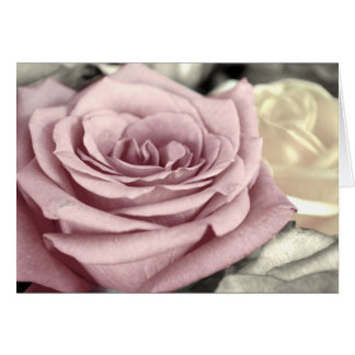 ~Rosas SToP aND SMeLL TH~