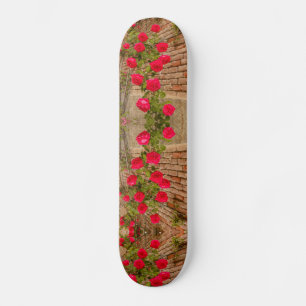 rosas trepan en una pared de ladrillo en patineta