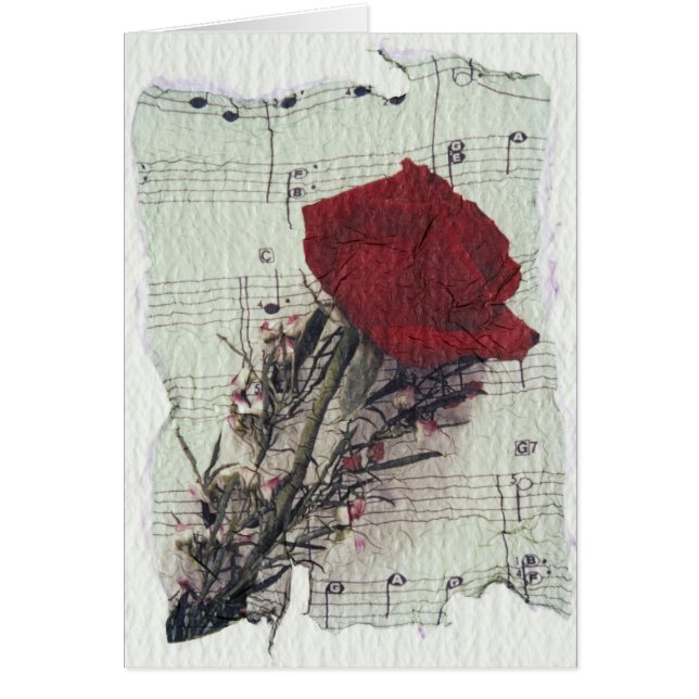 <Rose and Music> por Kim Koza 2 (Frente)