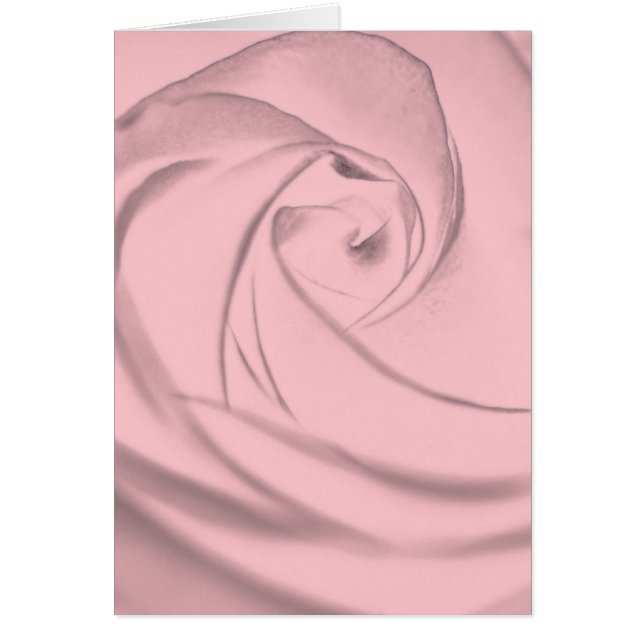 Rose - pale pink.jpg (Frente)