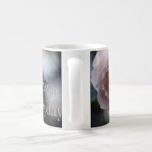 Rose rosada busca la belleza en la taza diaria