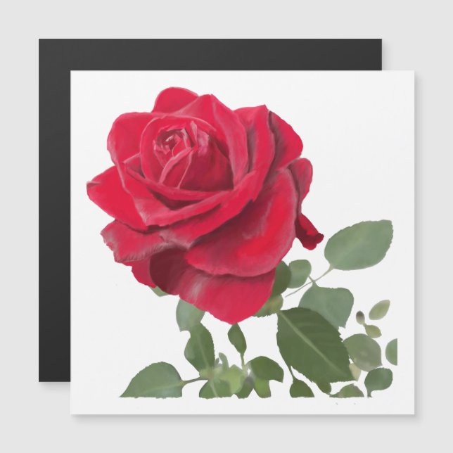  Rose rouge peinture (Anverso/Reverso)