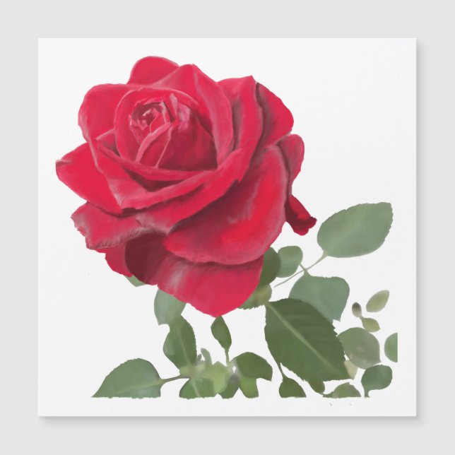  Rose rouge peinture (Anverso)