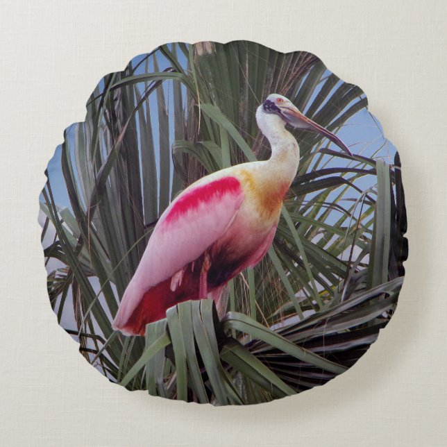 Roseate Spoonbill almohadas redondas (Anverso)