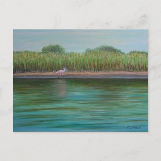 ROSEATE SPOONBILL EN LA postal EAST CREEK (Anverso)