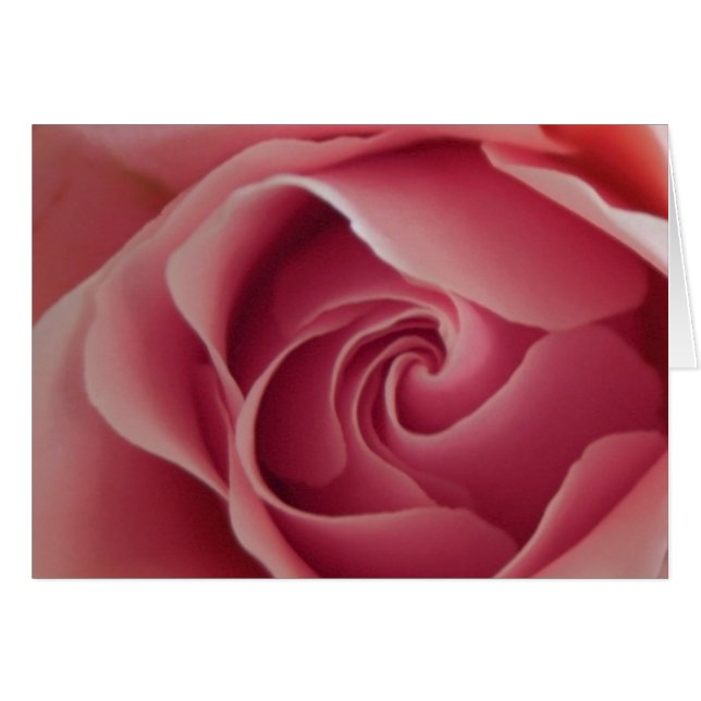 Rosebud (Anverso (Horizontal))