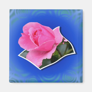 Rosebud Rosa Sale Imán Floral