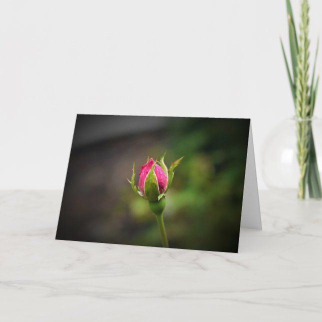 Rosebud, tarjeta (Anverso)