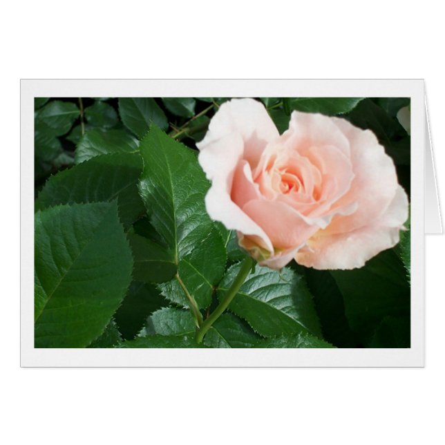 RoseCard (Anverso (Horizontal))
