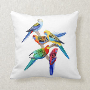 Rosella colorido repite mecánicamente la almohada