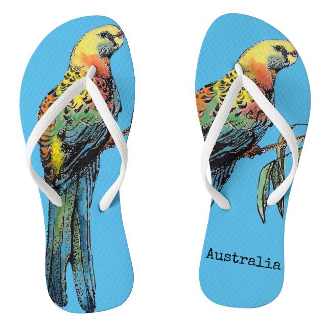 Rosella Roja Pájaro Australiano Pájaros Chanclas A (Plantilla)