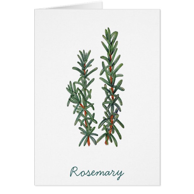 Rosemary (Frente)