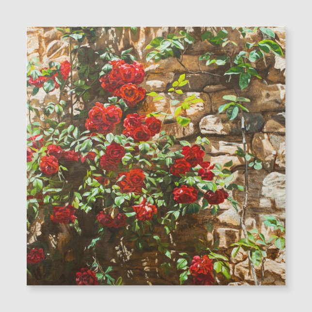 Roses rojos contra un muro de piedra (Anverso)