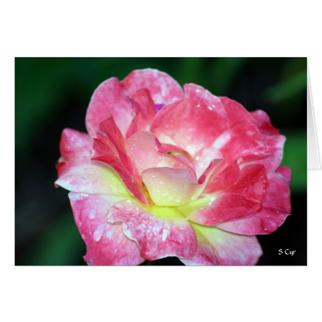Rosey, S Cyr (Anverso (Horizontal))