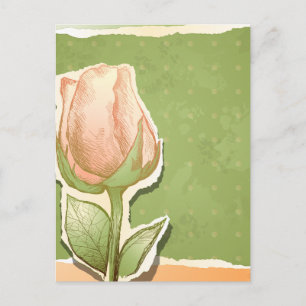Rosita vintage en verde, postal