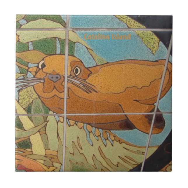 ROSTRO DE BALDOSAS CERAMIC DE LA ISLA DE CATALINA  (Frente)