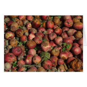 Rotten Apples