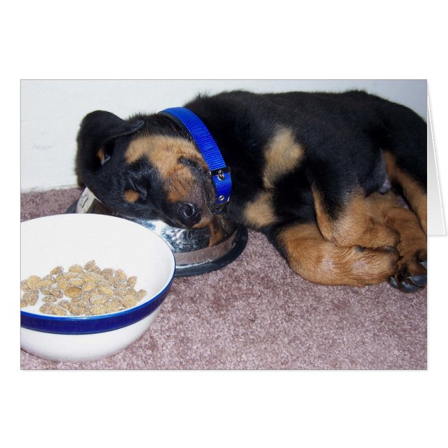 rottweiler de cabeza dormilada. (Anverso (Horizontal))