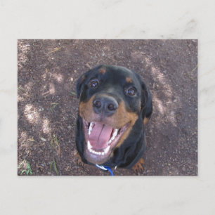 Rottweiler Puppy con una postal de gran sonrisa