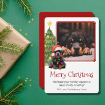 Rottweiler y Mascota de árbol de Navidad Dog One P