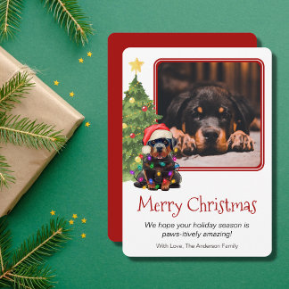 Rottweiler y Mascota de árbol de Navidad Dog One P