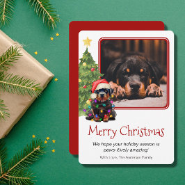 Rottweiler y Mascota de árbol de Navidad Dog One P