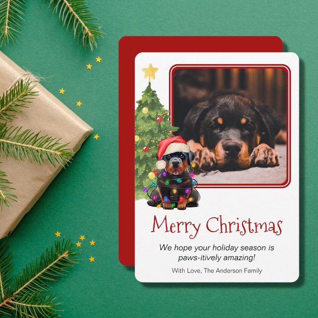 Rottweiler y Mascota de árbol de Navidad Dog One P (Subido por el creador)