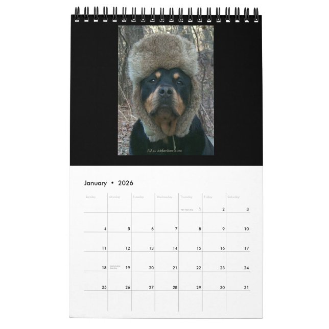 Rottweilers 2014 por el calendario de Diane (Jan 2026)