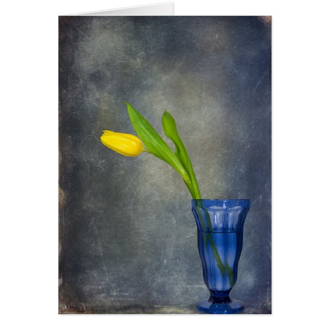 Rótulo de primavera (Frente)