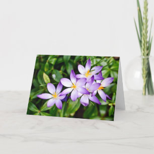 Rótulos de la tarjeta de primavera