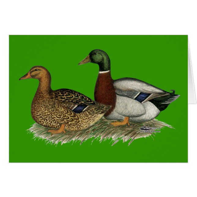 Rouen Ducks (Anverso (Horizontal))