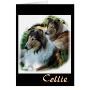 Rough Collie Gift de Arte