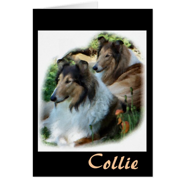 Rough Collie Gift de Arte (Frente)
