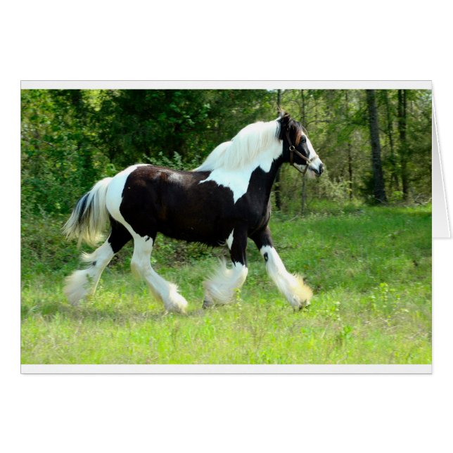 Roxie (Anverso (Horizontal))