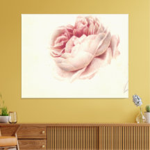 Roze Roos (1792) – Arte botánico vintage atemporal